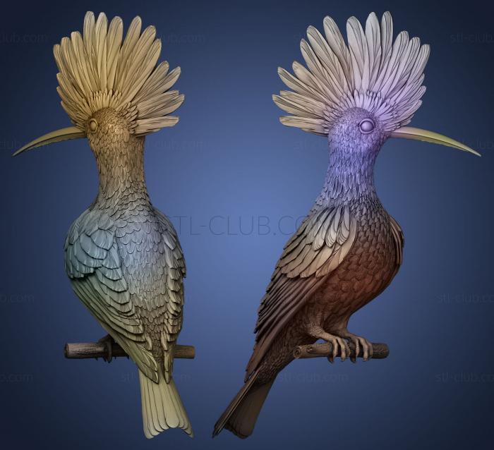 3D model HOOPOE (STL)